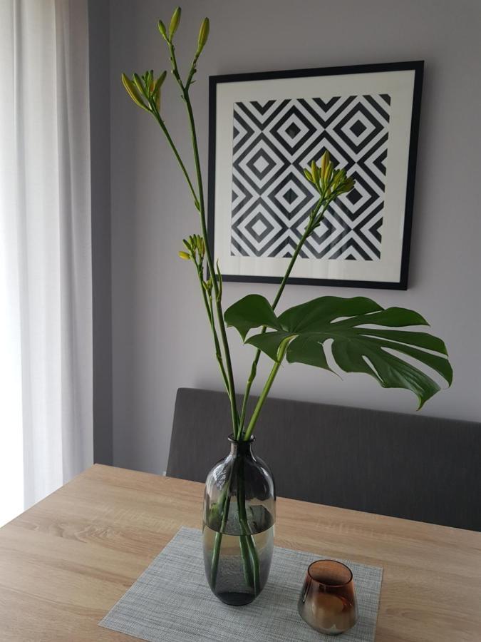 Villa Lipova Stegna Pokoje I Apartamenty Dedykowane Osobom Doroslym Buitenkant foto
